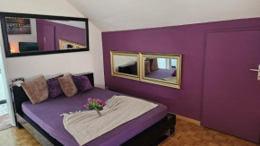 Wunderschönes Apartment in Winterthur